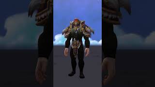 NEW Warrior Class Set & Weapon Transmog │World of Warcraft Patch 10.1.7