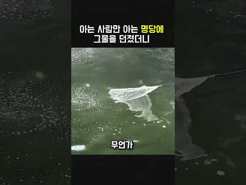 아는 사람만 아는 명당에 그물을 던졌더니 thumbnail