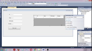 DataGrid view in VB.NET