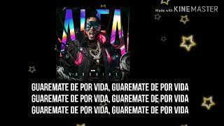 El Alfa El Jefe - Guaremate de por vida (Letras Oficial)