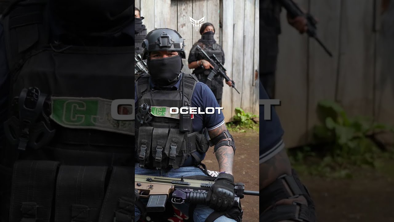 How Mexico S Elite Military Is Taking On The Cartels