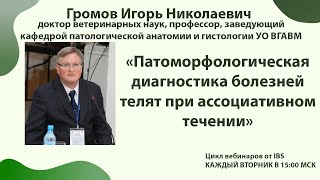 21.02 Громов И.Н. «Патоморфологическая диагностика болезней телят при ассоциативном течении»