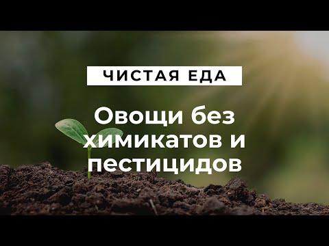 Органические удобрения \ Овощи без химикатов и пестицидов \ Чистая еда