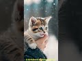 Cutest cat #cat #cats #catshorts