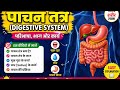 🌟 पाचन तंत्र (Digestive System) Part 1 | परिभाषा, भाग एवं कार्य | Human Anatomy by savita soni