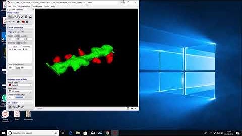 3D visualization of segmented dendrite and dendritic spine with ITK SNAP-Tutorial