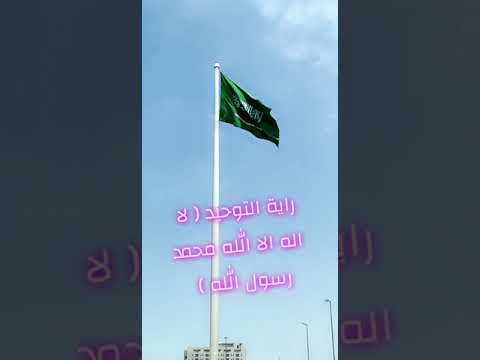 ترند السعودية راية التوحيد العلم السعودي جدة Shorts Short Shortsvideo اليوم الوطني 