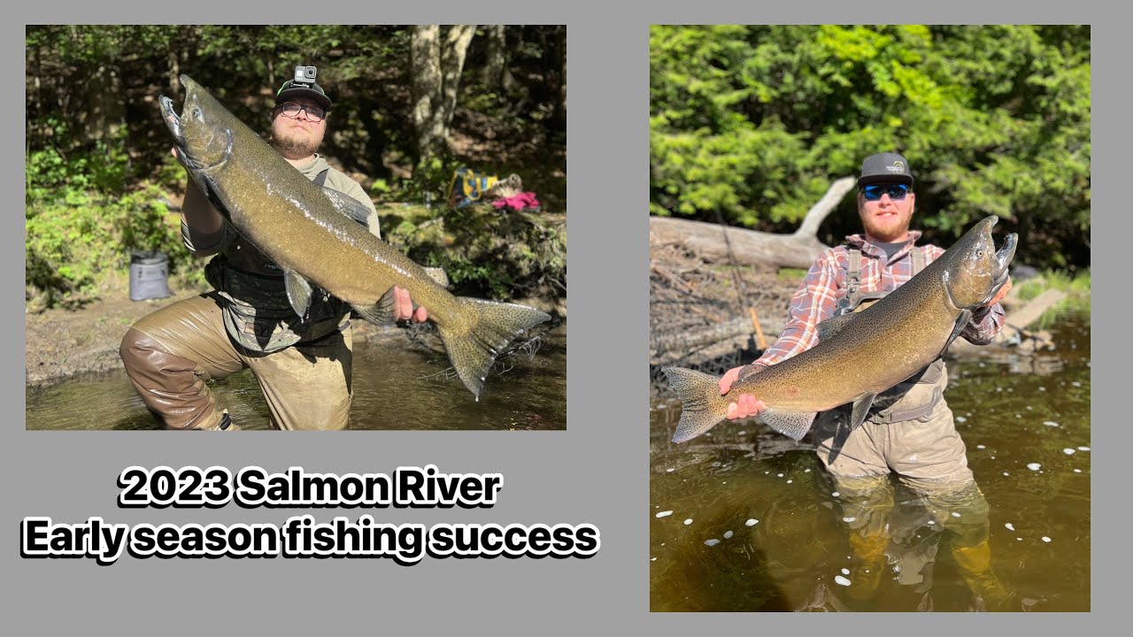2023 Salmon Fishing Pulaski New York (Epic Early Season Success) YouTube