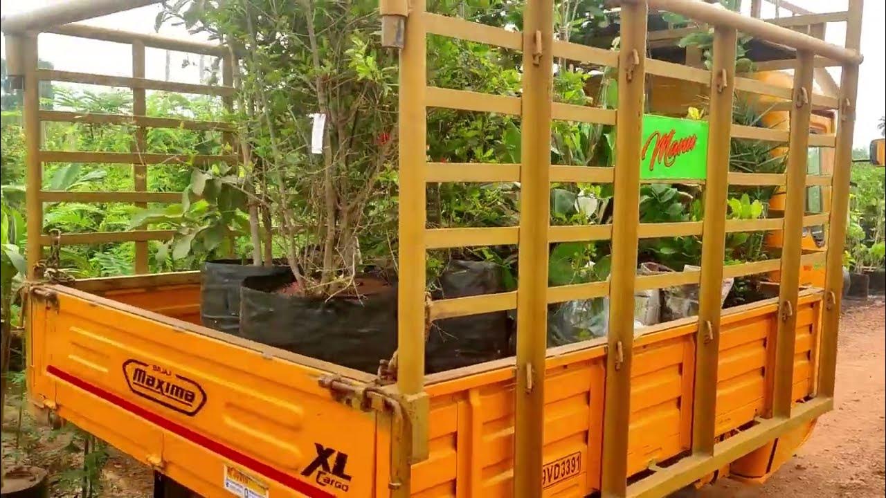 Kakinada Plants Order Customer Plants Order Online Order Kaadiyam