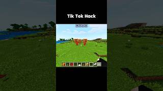Viral tik Tok hack in Minecraft