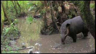 Belize Part 1