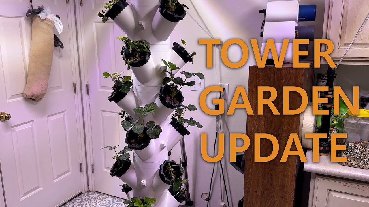 Update On My 3D Printed Hydroponic Garden Tower (Bambu X1-Carbon Timelapse)