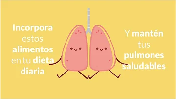 ¿Qué elimina la sangre de los pulmones?