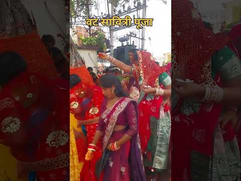 #shorts वट सावित्री पूजा #vatsavitripuja2026 #trending