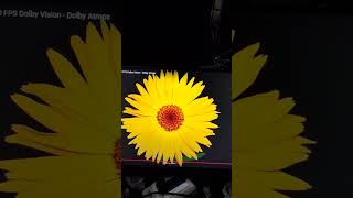 repair setup #schematics #laptop #computertechnic #laptopmotherboard #techno #housemusic