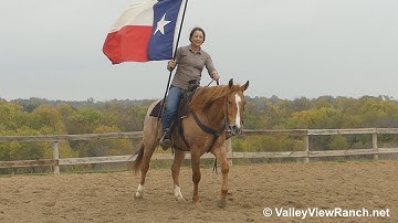 Duals Royal Pep - carrying the flag! - ValleyViewRanch.net