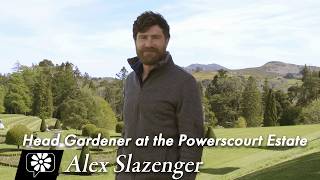 Alex Slazenger: Head Gardener at the Powerscourt Estate | A PLANTPOP Documentary