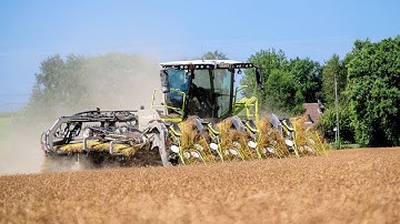 Hyler Falcon MK1 Prototype - 2k24 Season Unveiled