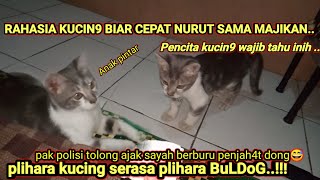 CARA MELATIH KUCING BIAR PINTAR BERBURU ‼️