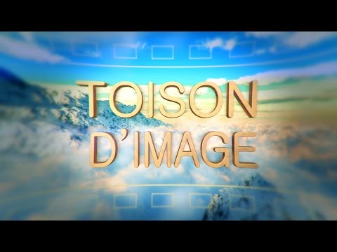 დაკარგული მოქალაქეები Lost Citizens