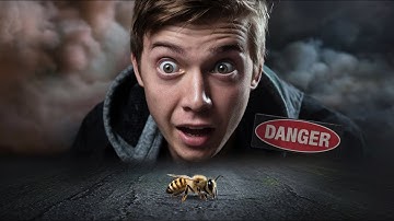 The Hidden Impact of Pollution on Pollinators – A Must-Watch!