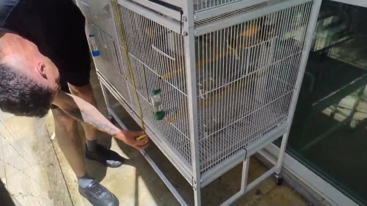 CANÁRIL EM DEZEMBRO .NOVO VIVEIRO