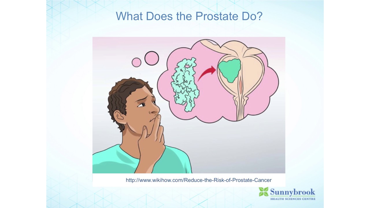 wikihow prostate