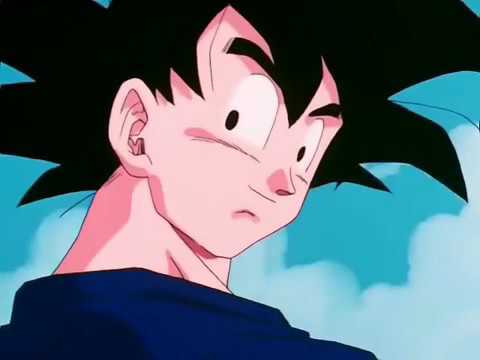 Goku se recupera del corazon