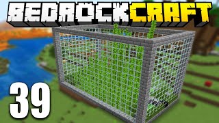 A Mega Farm de Bambu no Minecraft - Bedrock Craft #39