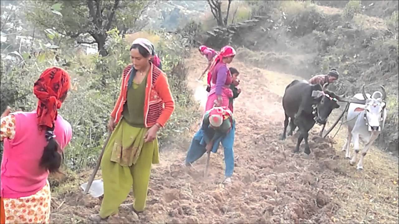 youtube garhwali song youtube garhwali song