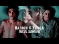 ➤︎ Hardin & Tessa | Трогать запрещено