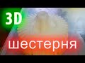 Коническая шестерня на 3D принтере, от МОДЕЛИ до готовой ДЕТАЛИ!