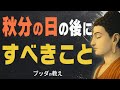 【99%が知らない】秋分の日の後にやるべき重要なこと…これをすれば運気の流れが大きく変わる【仏教/お彼岸/開運/供養/ブッダ】