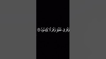 و أنذرهم يوم الحسرة إذ قضى الأمر و هم في غفله | كروما شاشات سوداء | سورة مريم | الشيخ محمد اللحيدان