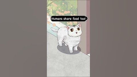 A Polite Cat That Will Melt Your Heart #animation #shorts #cat