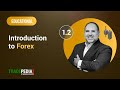 Lesson 1.2 - Introduction to Forex