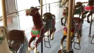 Carrusel Coney Island