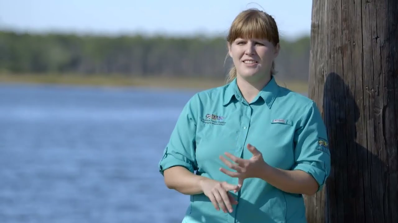 Gulf United For Lasting Fisheries