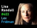 Lisa Randall: Dark Matter, Theoretical Physics, and Extinction Events | Lex Fridman Podcast #403