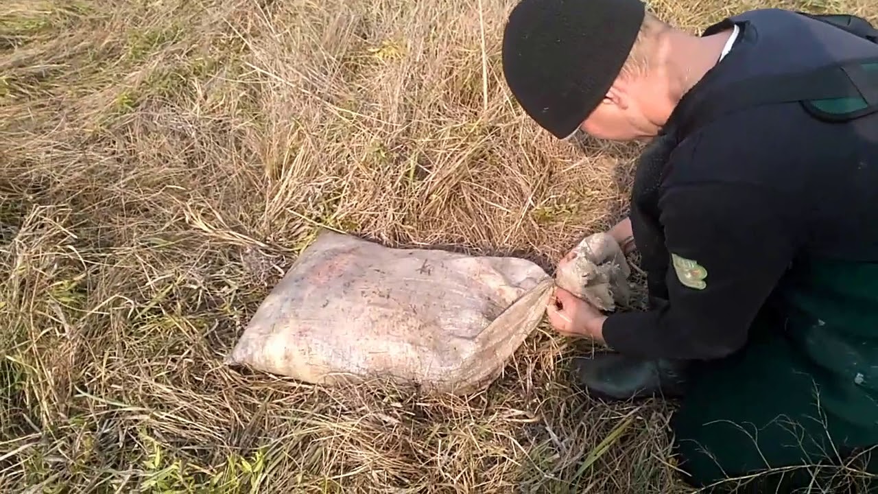 Рыбалка в Пологом Займище - YouTube