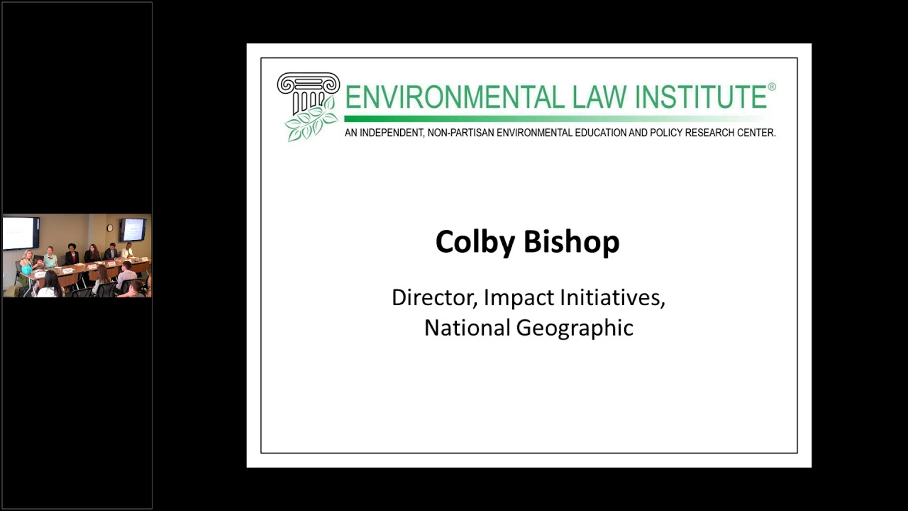 An Introduction to Careers in Environmental Law and Policy (ELI Summer School, 2018)