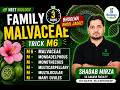 Family Malvaceae in 3 Minutes | Trick M6 | Bhoolna Bhool Jaoge