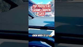 Cybertruck FSD Nails Grand Canyon Entrance Gate 😱 Perfect Interaction!