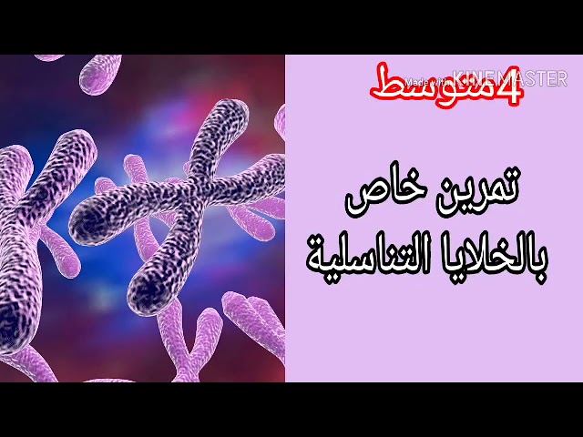 تمرين حول الخلايا التناسلية مقطع انتقال الصفات الوراثية للرابعة متوسط علوم طبيعية