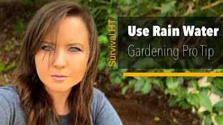 Benefits Of Starting Plants With Rainwater