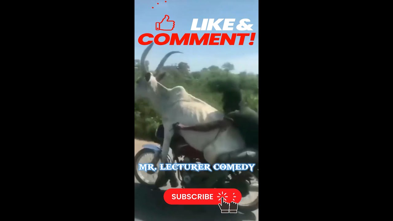 10 Hilarious Moments You Won't Believe Happened! - YouTube