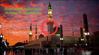 Zikrullah Meclisi 7 (Silinen İlahi) Senin Aşkın Bütün Derde Devadır Ya ResulAllah