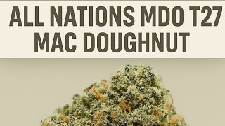 All Nations MDO T27 MAC Doughnut Medical Flower | FIRST IMPRESSIONS