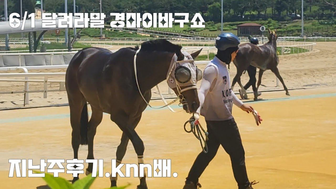 경마가 구라를 친다고요? 그럼 나도같이 구라치면 됩니다! 지난주 후기