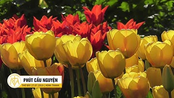 Phút Cầu Nguyện, Thứ Bảy 27/07/2019: Kinh Lạy Đức Maria Nữ Vương